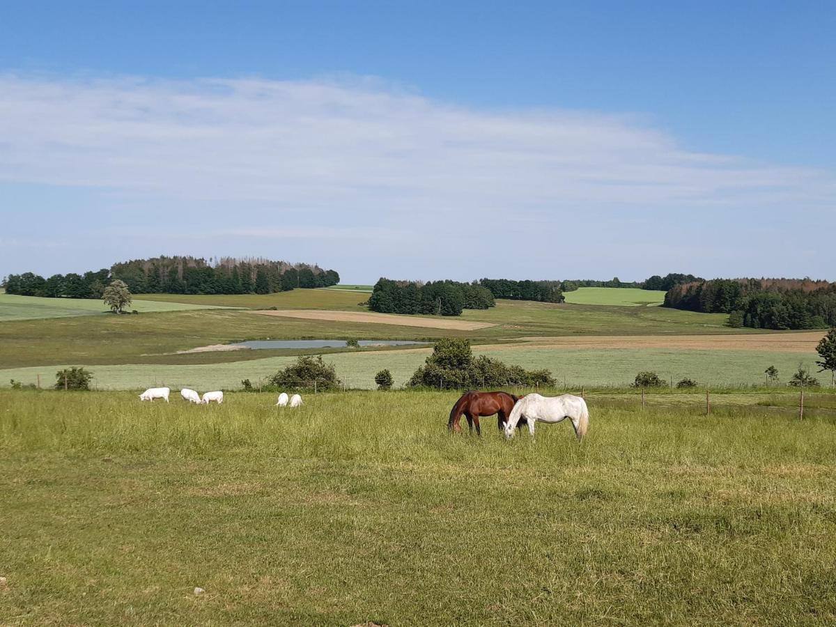 Ubytovani U Krivanku 1 Telč Εξωτερικό φωτογραφία