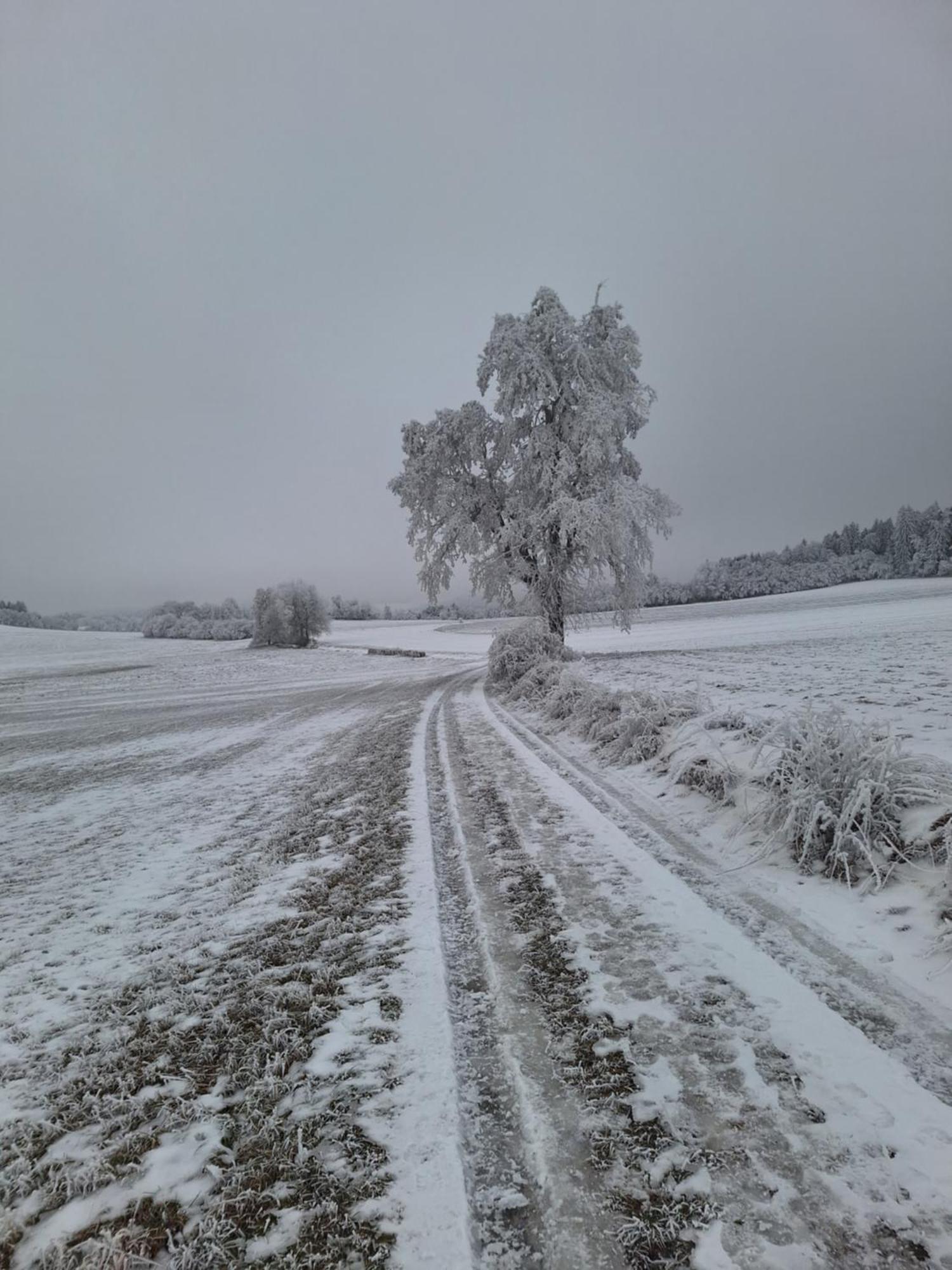 Ubytovani U Krivanku 1 Telč Εξωτερικό φωτογραφία
